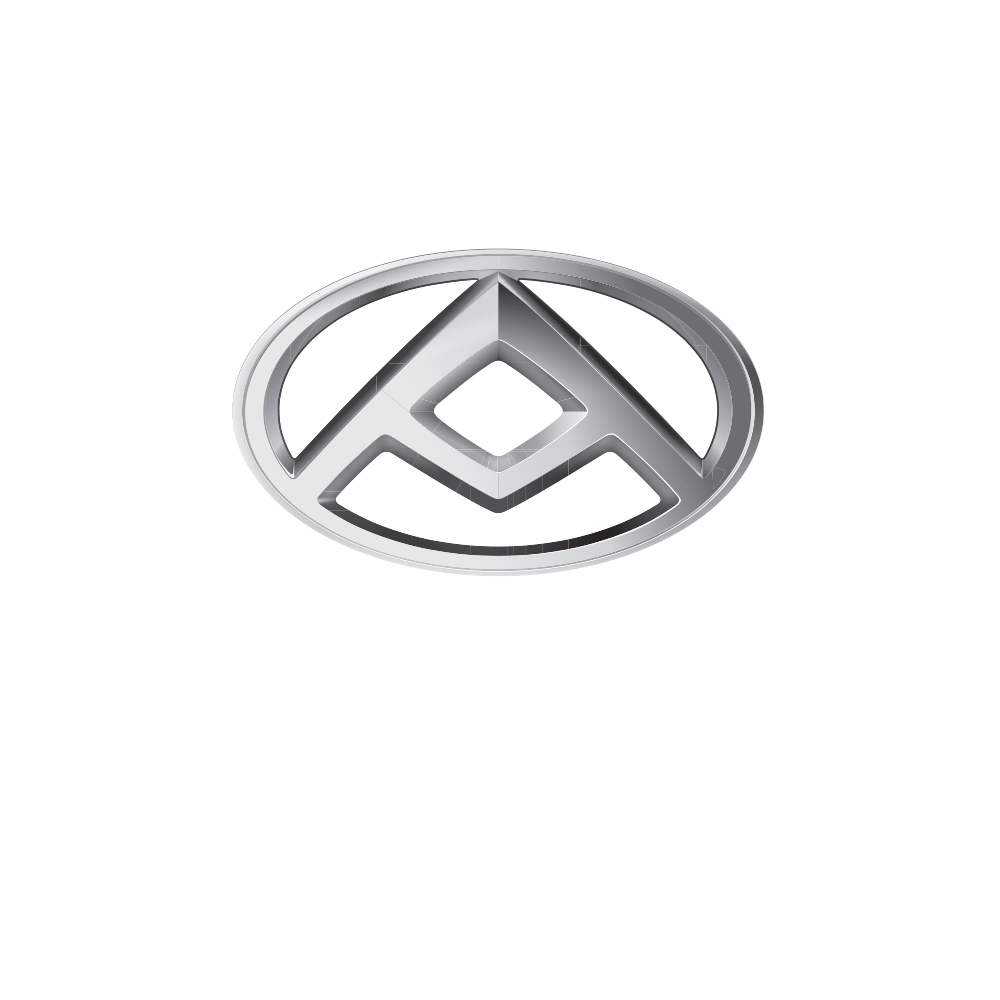 LDV Logo Square